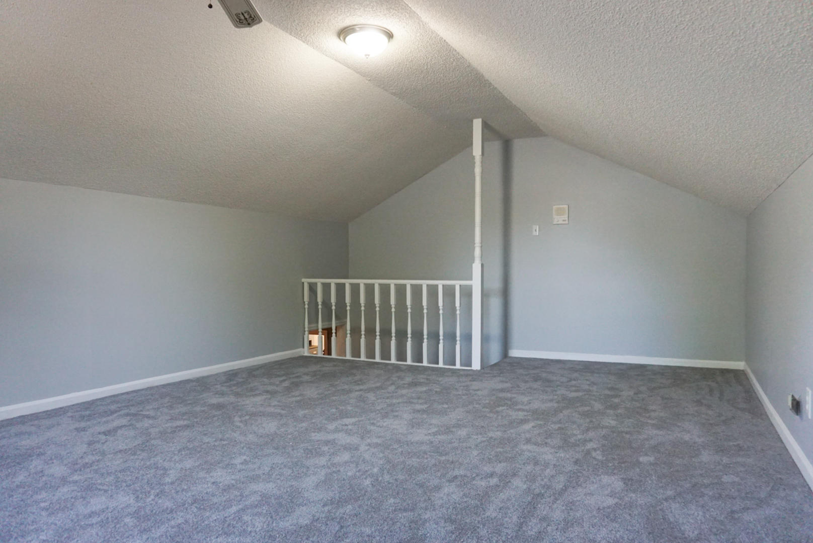 1417 Foxtail Pine Road Ladson, SC 29456 - Photo 27 of 30 8.FROG