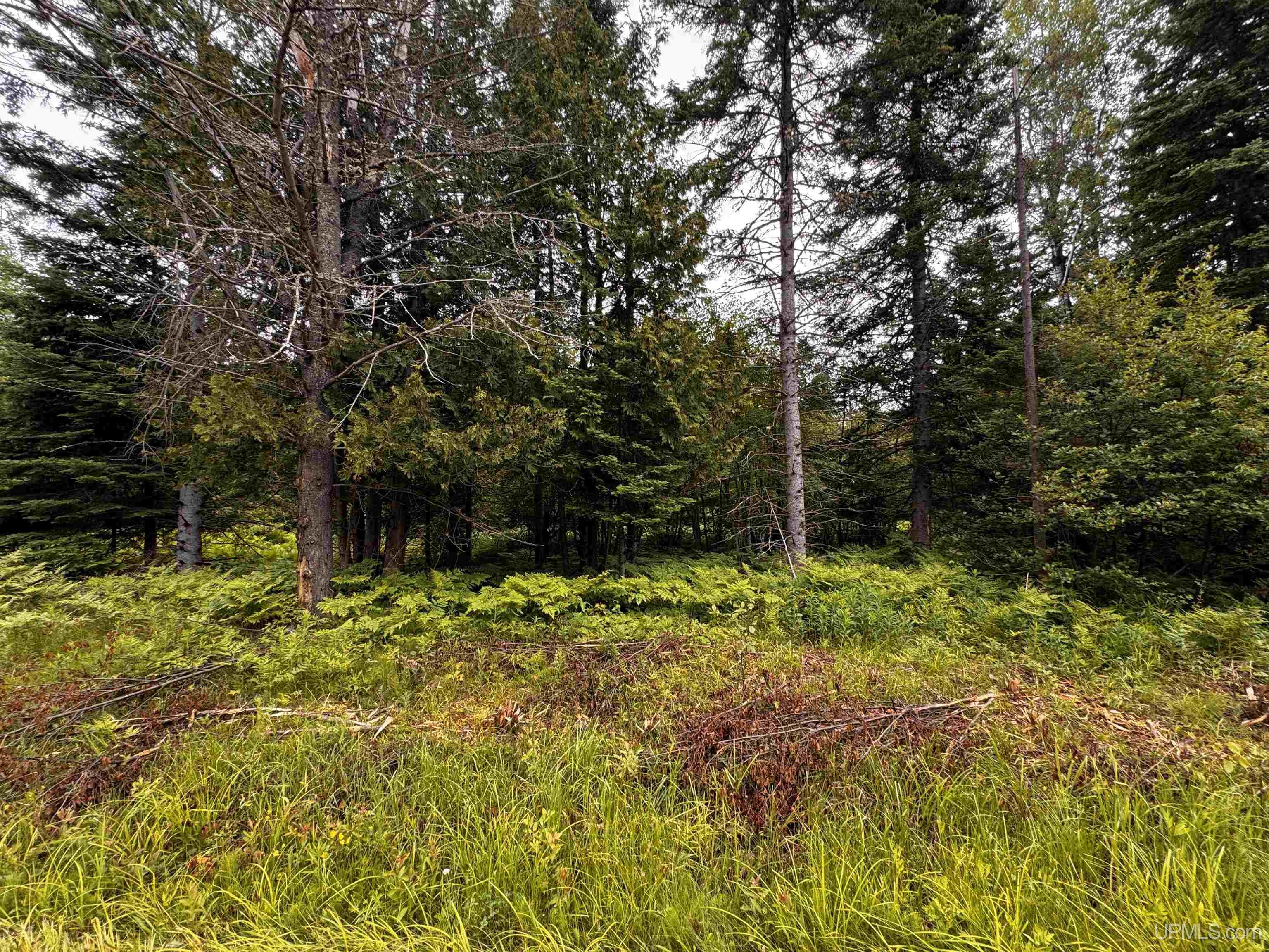 5.23 Messner Road Baraga, MI 49908 - Photo 6 of 18
