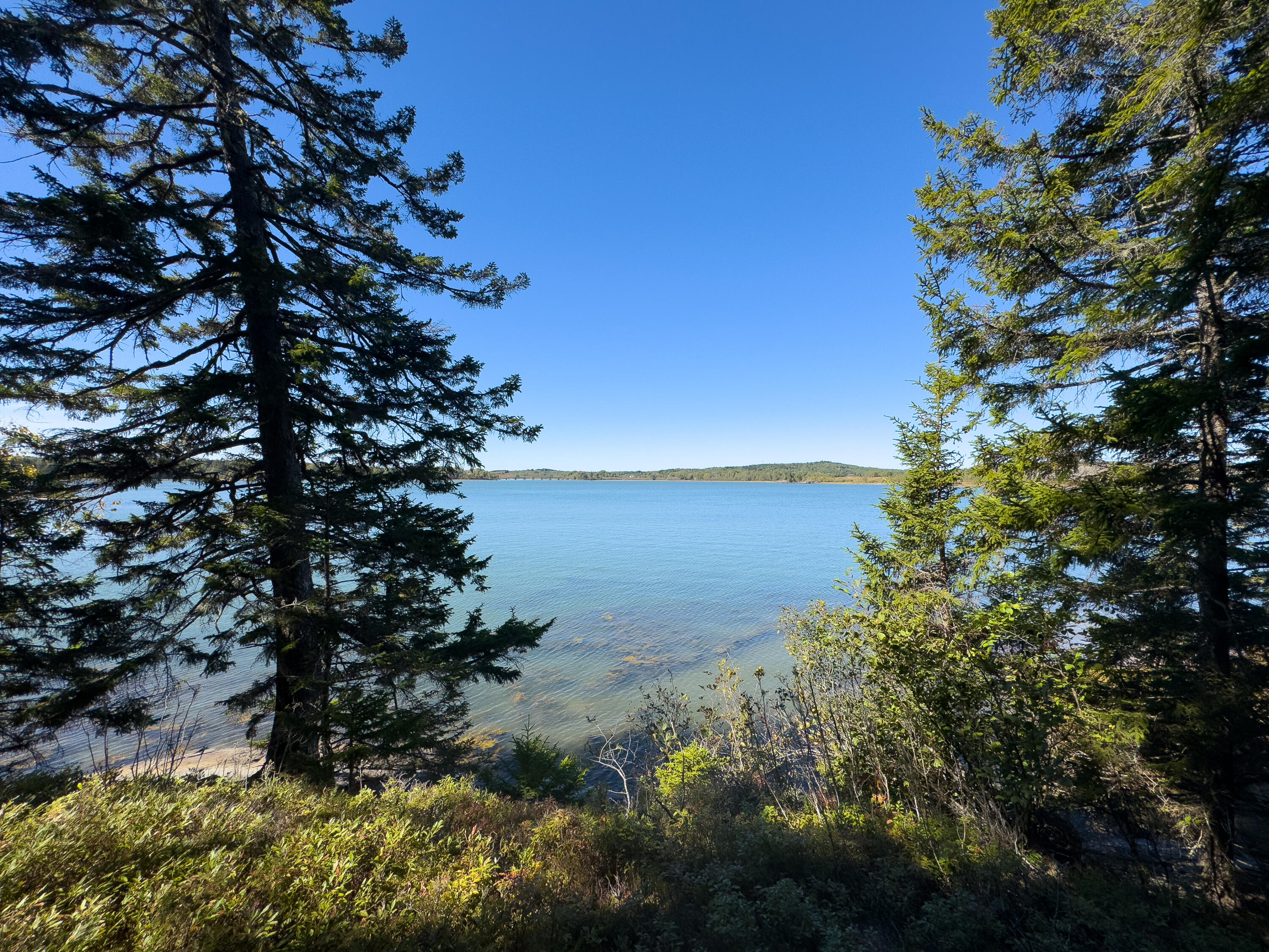 85 East Side Road Machiasport, ME 04655 - Photo 47 of 50