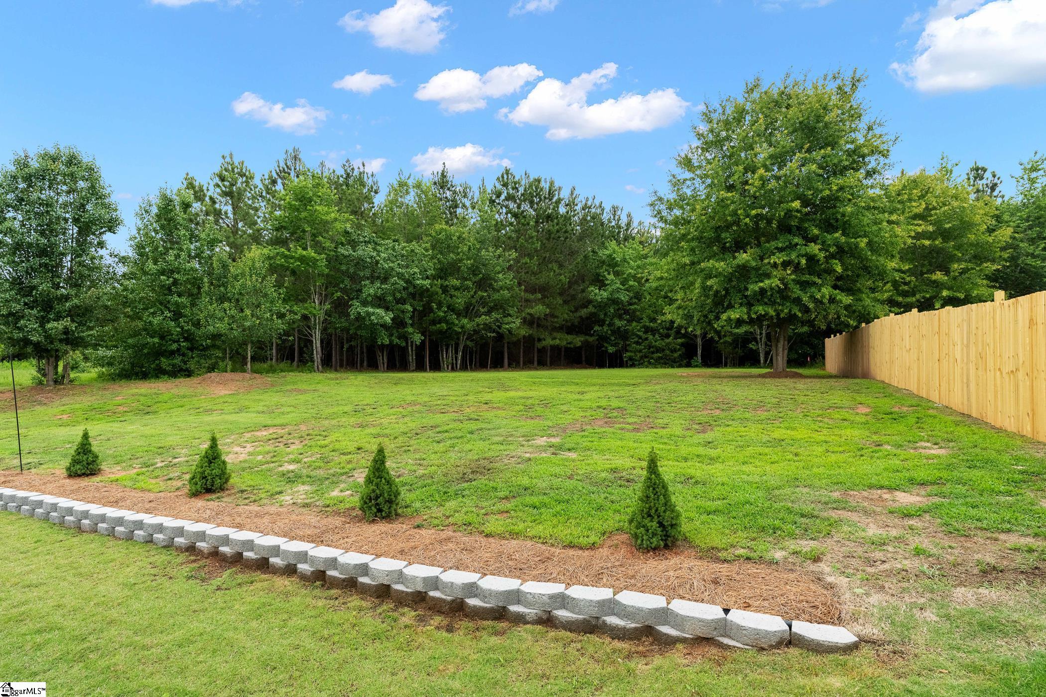 52 Dendy Street Pelzer, SC 29669 - Photo 7 of 42