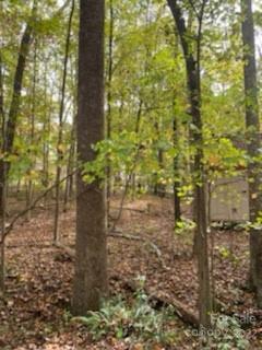 0 Kingsburry Road Clover, SC 29710 - Photo 15 of 20 Gallery Image 15