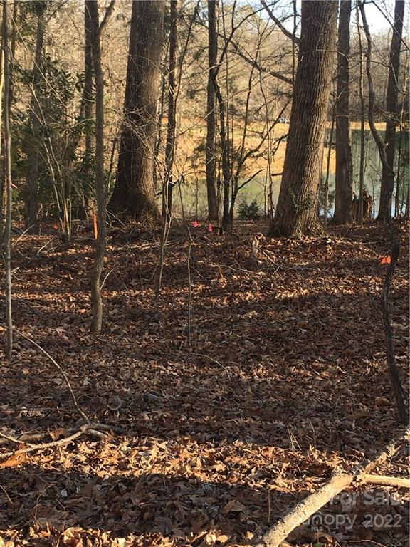 0 Kingsburry Road Clover, SC 29710 - Photo 18 of 20 Gallery Image 18