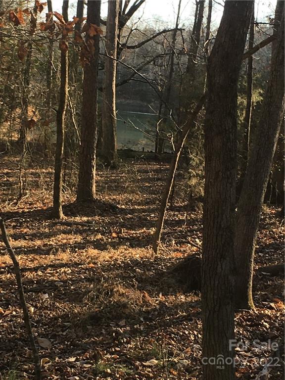 0 Kingsburry Road Clover, SC 29710 - Photo 20 of 20 Gallery Image 20