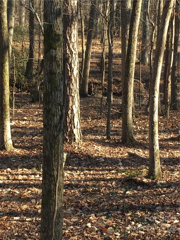 0 Kingsburry Road Clover, SC 29710 - Photo 3 of 20 Gallery Image 3