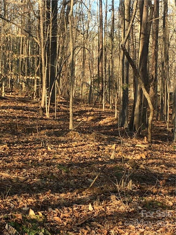 0 Kingsburry Road Clover, SC 29710 - Photo 4 of 20 Gallery Image 4