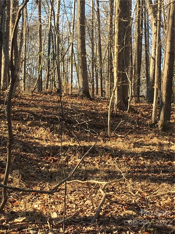 0 Kingsburry Road Clover, SC 29710 - Photo 5 of 20 Gallery Image 5