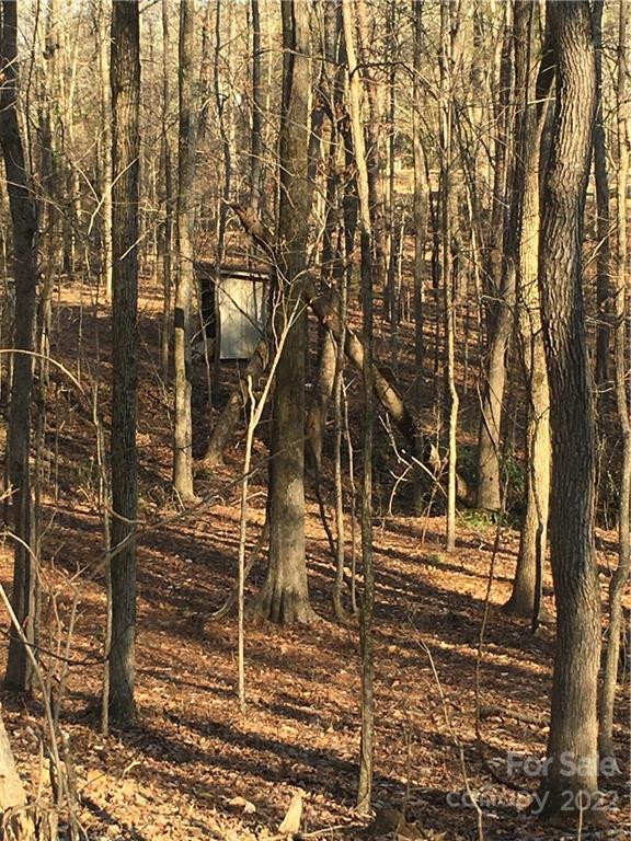 0 Kingsburry Road Clover, SC 29710 - Photo 6 of 20 Gallery Image 6