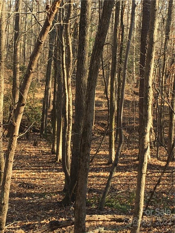 0 Kingsburry Road Clover, SC 29710 - Photo 7 of 20 Gallery Image 7