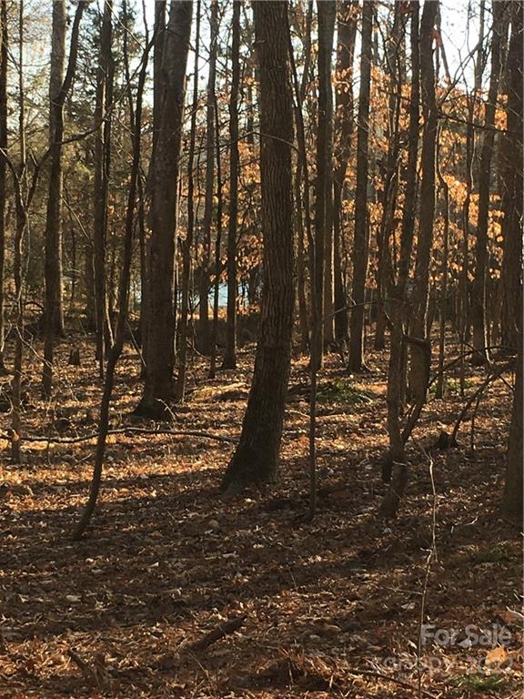 0 Kingsburry Road Clover, SC 29710 - Photo 8 of 20 Gallery Image 8