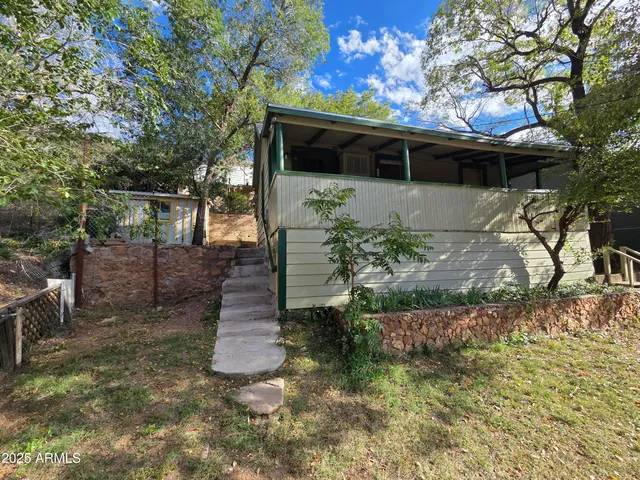 a view of a yard with plants and a large tree