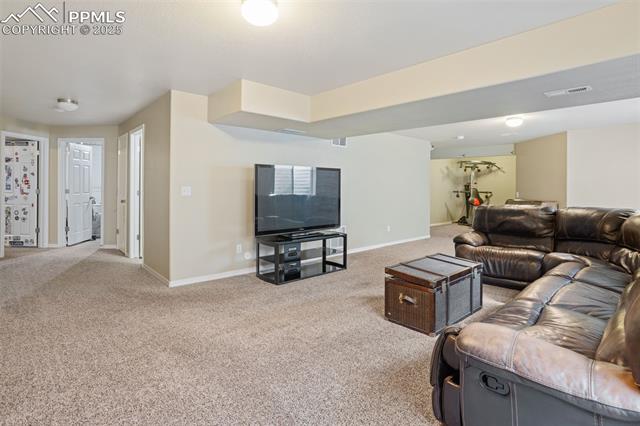 1385 Diamond Rim Drive Colorado Springs, CO 80921 - Photo 25 of 32