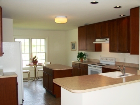 241 Boones Mill Road Boones Mill, VA 24065 - Photo 2 of 22 Kitchen (pic1)