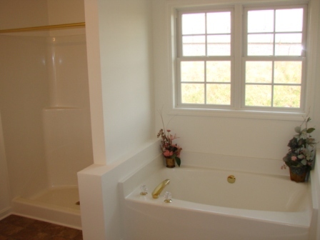 241 Boones Mill Road Boones Mill, VA 24065 - Photo 16 of 22 Master Bath (pic1)