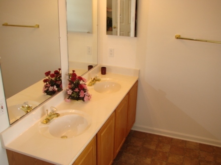 241 Boones Mill Road Boones Mill, VA 24065 - Photo 17 of 22 Master Bath (pic2)