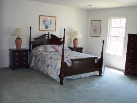 241 Boones Mill Road Boones Mill, VA 24065 - Photo 4 of 22 Master Suite (pic1)