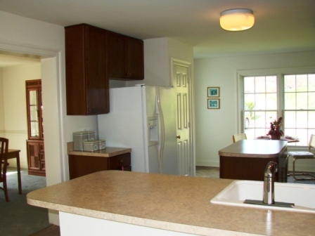 241 Boones Mill Road Boones Mill, VA 24065 - Photo 7 of 22 Kitchen (pic2)
