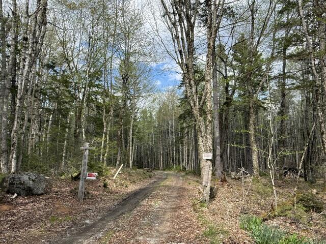 Lot12-part Indian Trail Road East Machias, ME 04630 - Photo 33 of 34 IMG_9896