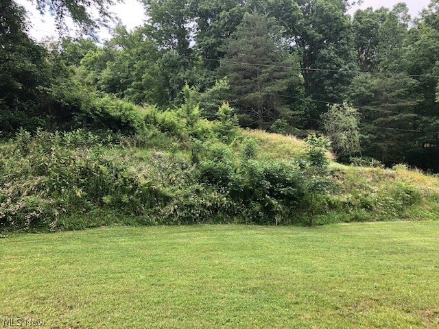 8690 Pike Road St. Marys, WV 26170 - Photo 8 of 27