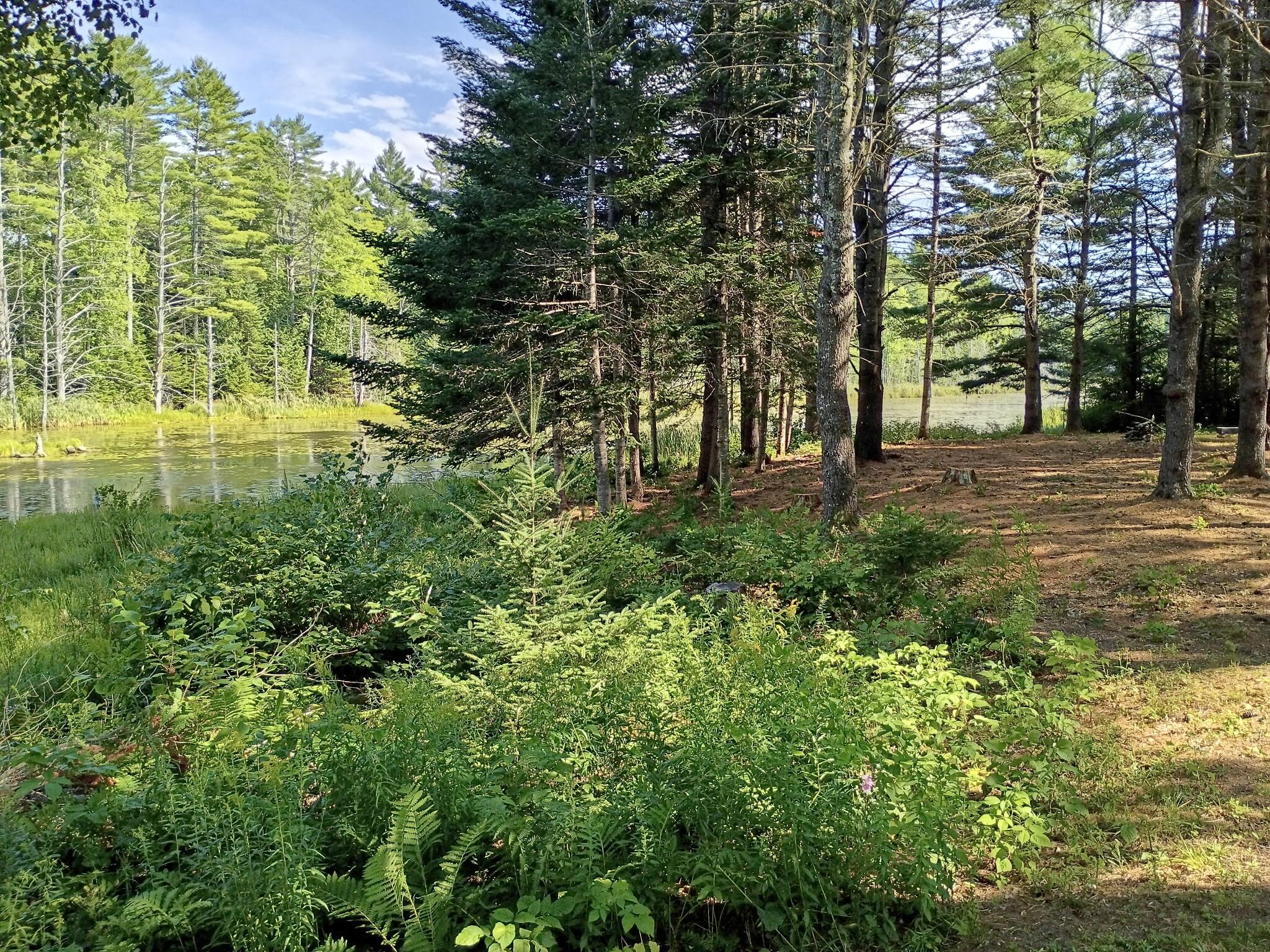 495 Dahlia Farm Road Monroe, ME 04951 - Photo 3 of 28 352
