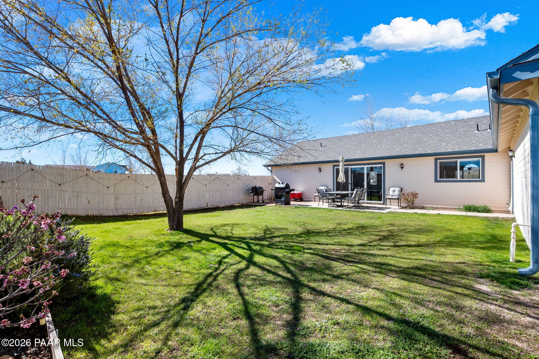 445 South Bella Road Chino Valley, AZ 86323 - Photo 35 of 42 Backyard