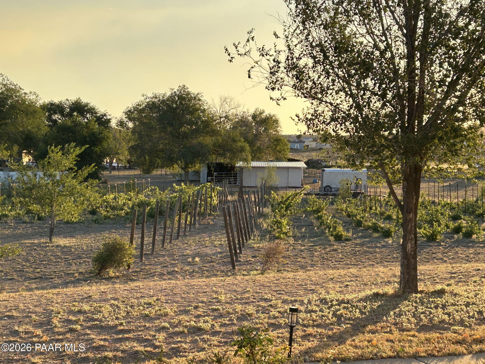 445 South Bella Road Chino Valley, AZ 86323 - Photo 6 of 42 45-Vineyard (4)