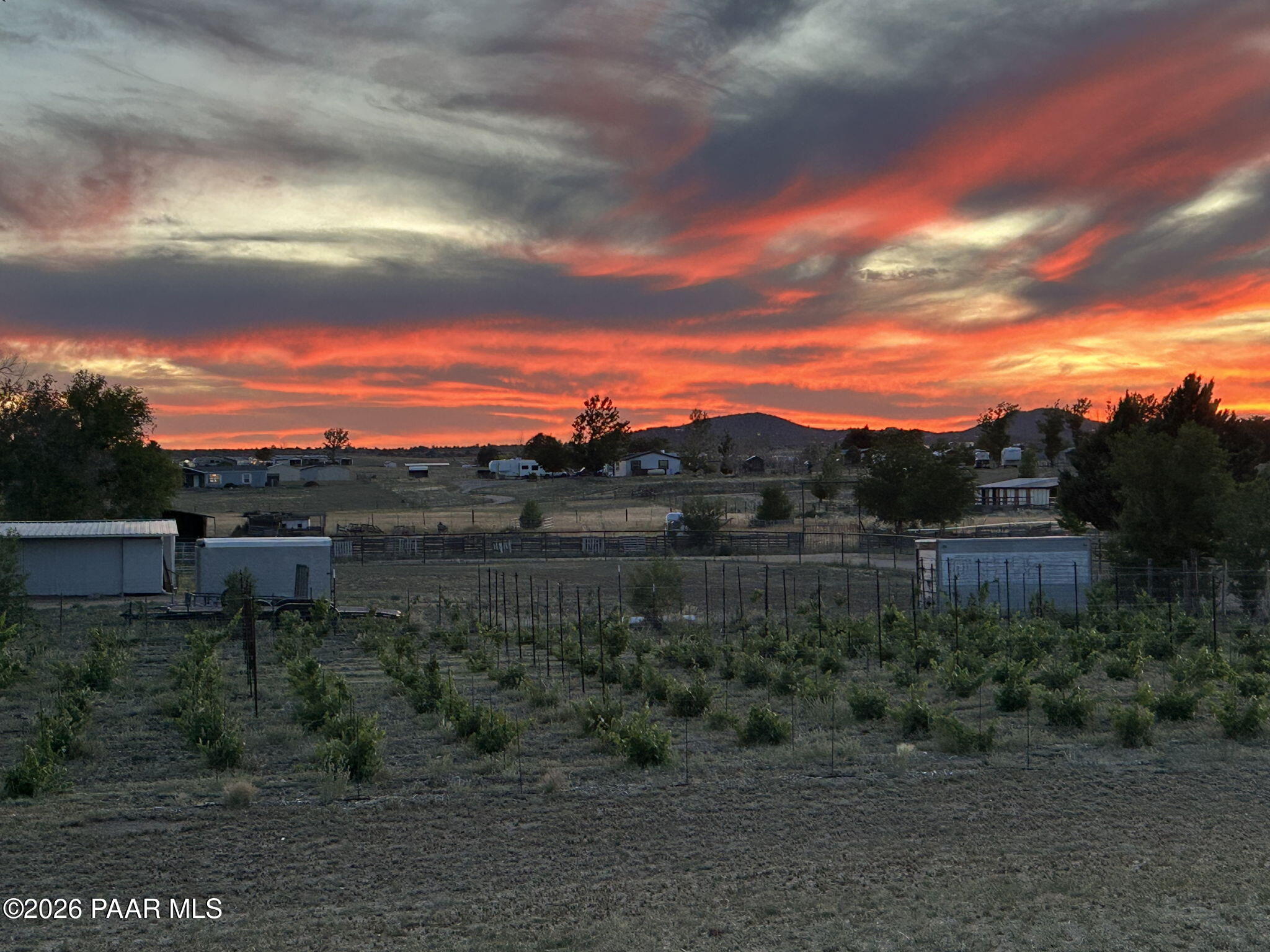 445 South Bella Road Chino Valley, AZ 86323 - Photo 7 of 42 43-Vineyard(2)