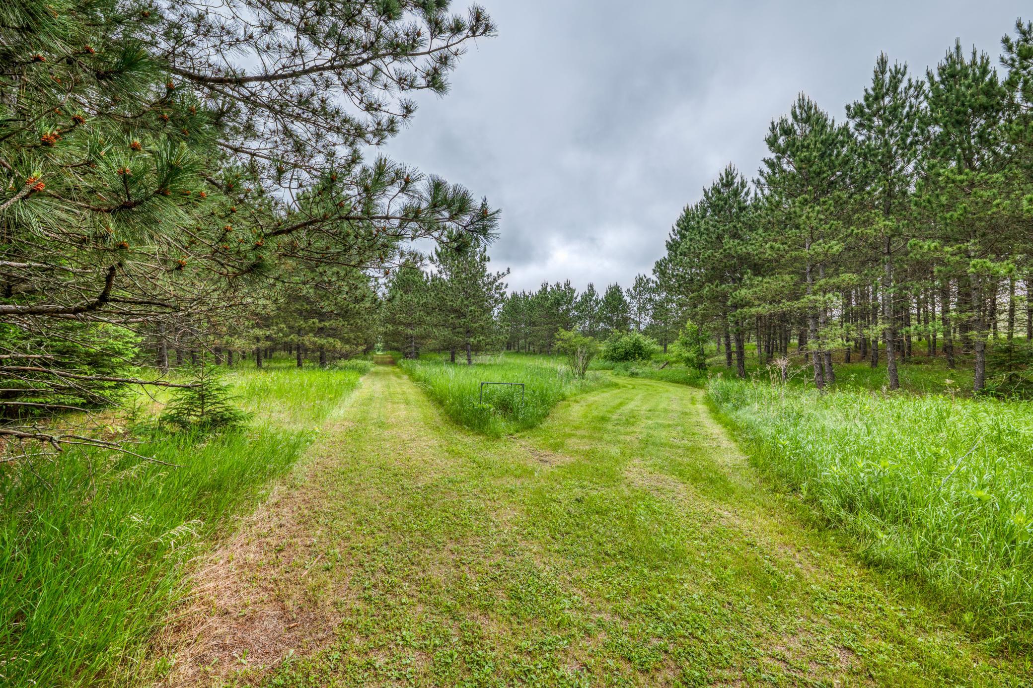 24058 County 2 Shevlin, MN 56676 - Photo 58 of 90