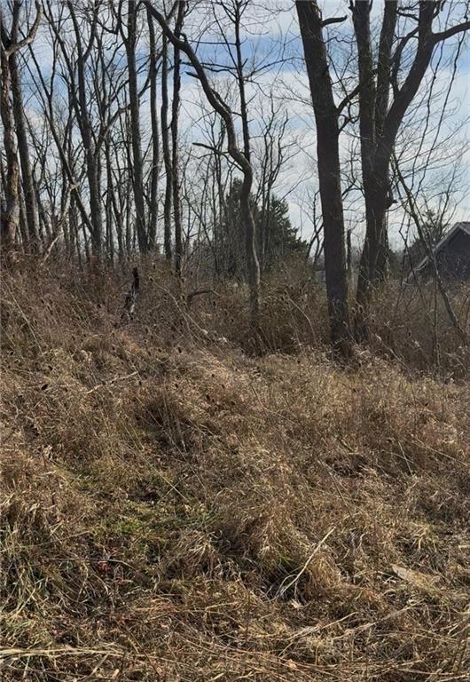 0 Charles Street Cecil, PA 15321 - Photo 2 of 6 a view of a forest with trees in the background