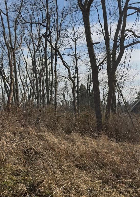 0 Charles Street Cecil, PA 15321 - Photo 3 of 6 a view of forest