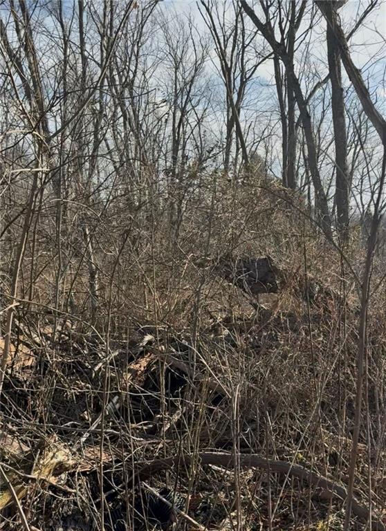 0 Charles Street Cecil, PA 15321 - Photo 4 of 6 a view of a yard