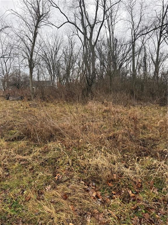 0 Charles Street Cecil, PA 15321 - Photo 6 of 6 a view of a yard with trees