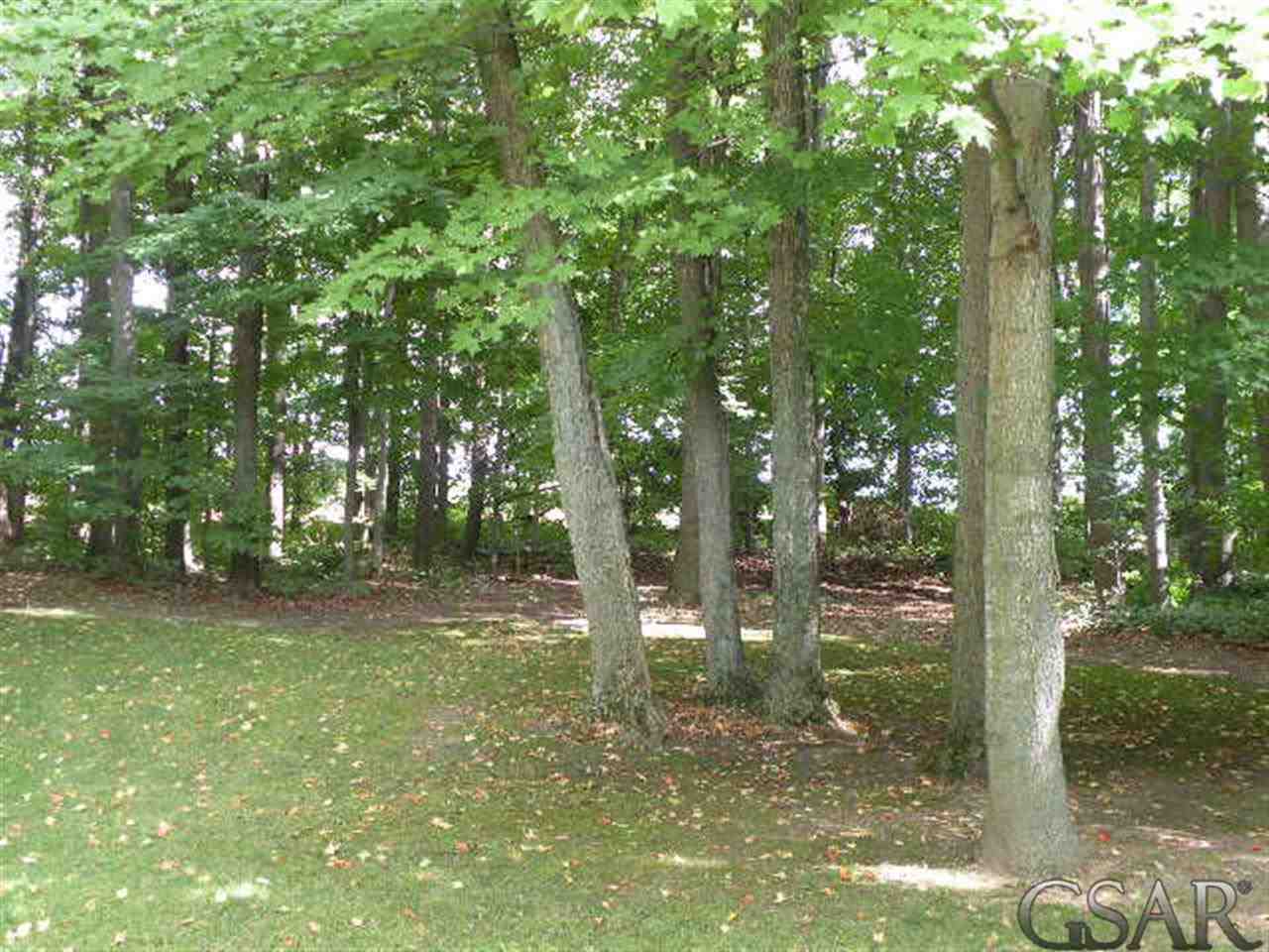 5359 Lemon Road Durand, MI 48429 - Photo 27 of 29 31166043-26.JPG
