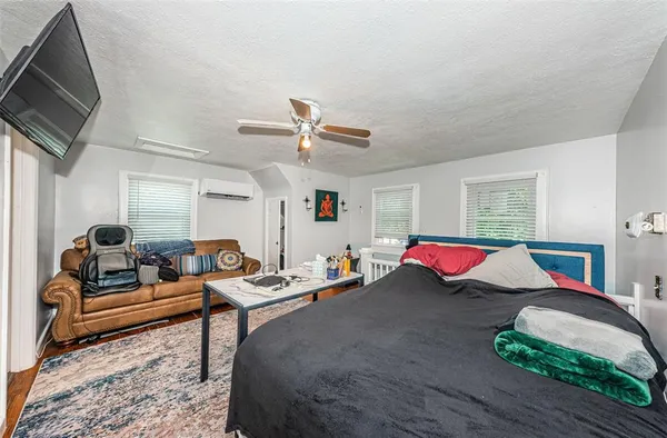 a view of a backyard with plants and trees