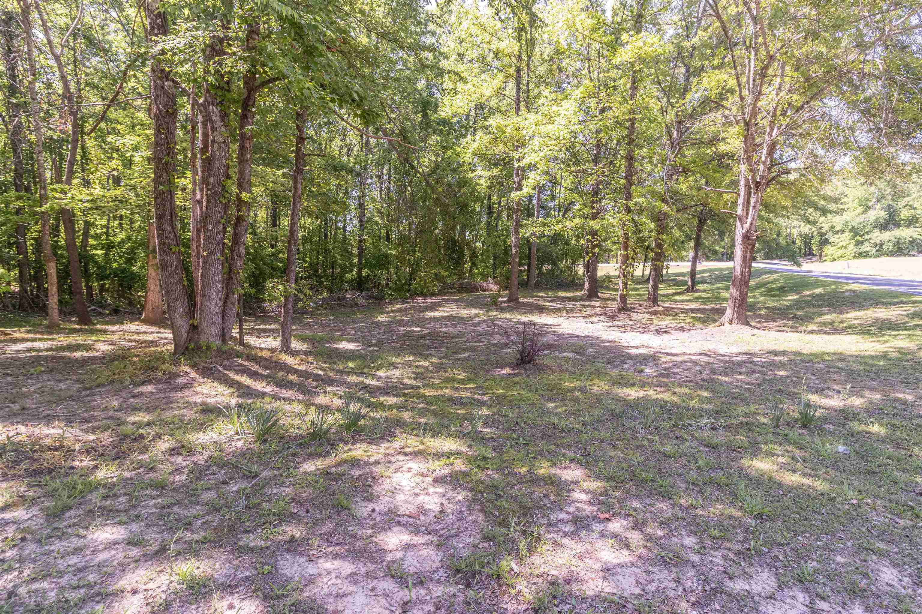 1540 B Chewalla Road Ramer, TN 38367 - Photo 7 of 29