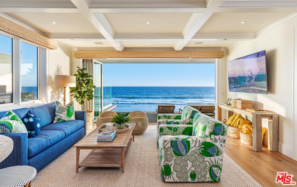 31412 Broad Beach Road Malibu, CA 90265 - Photo 19 of 32 a living room with furniture and a potted plant