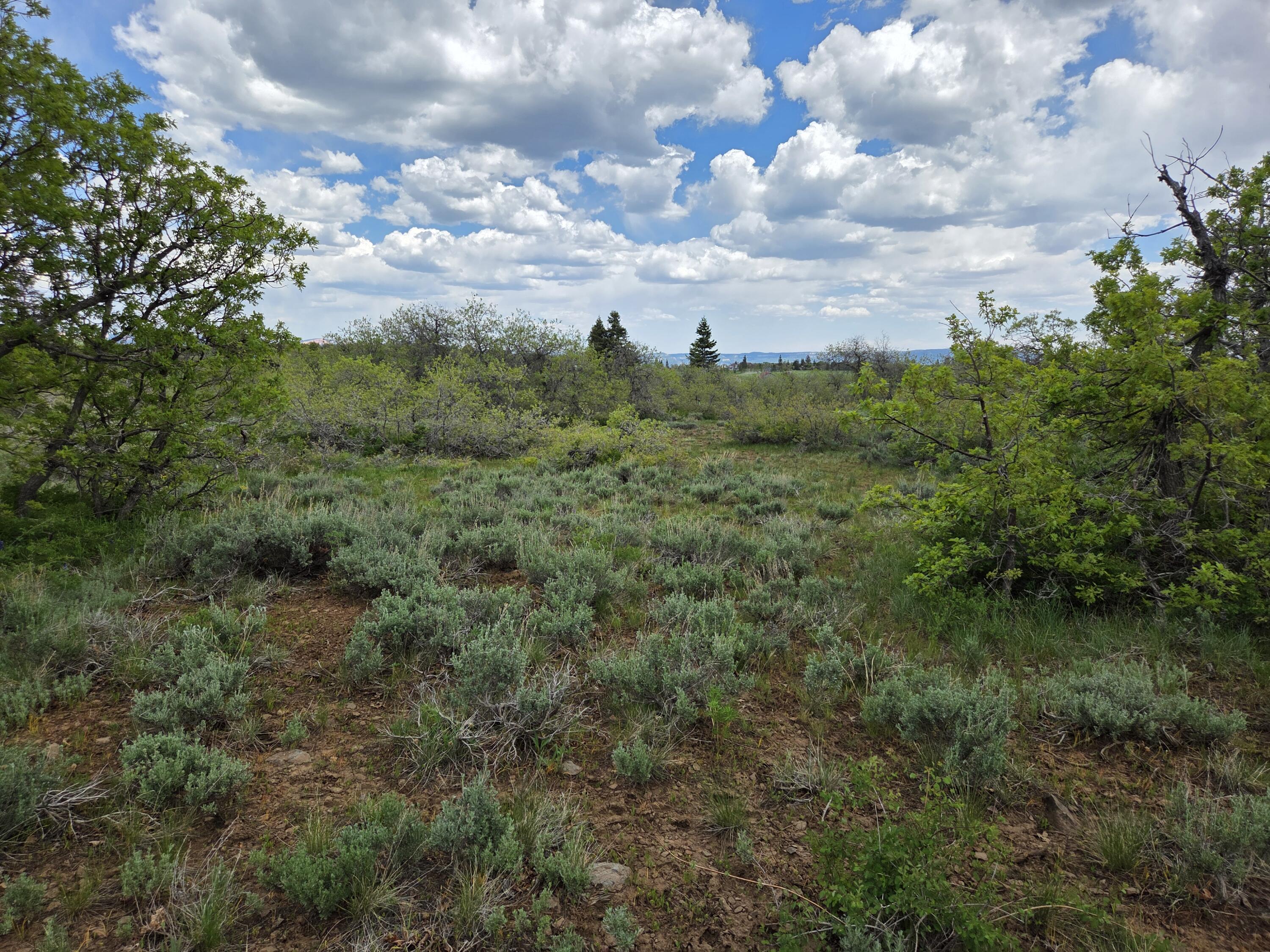 Lot 10 Spring Drive, Unit 10 Springdale, UT 84767 - Photo 8 of 18 1000006225