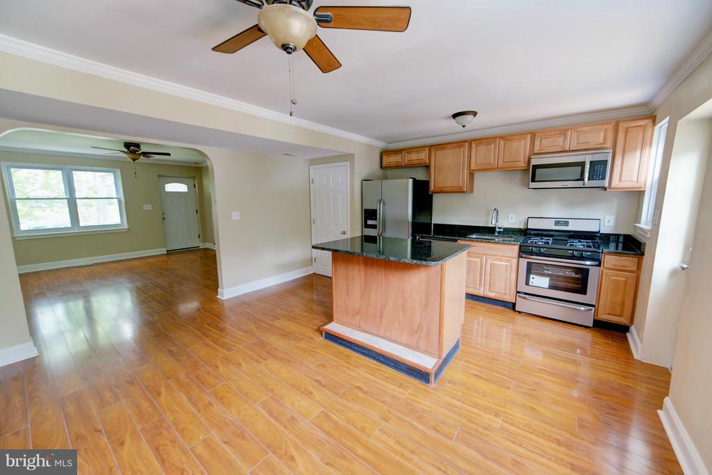 233 Ridge Avenue Baltimore, MD 21286 - Photo 5 of 16 Kitchen