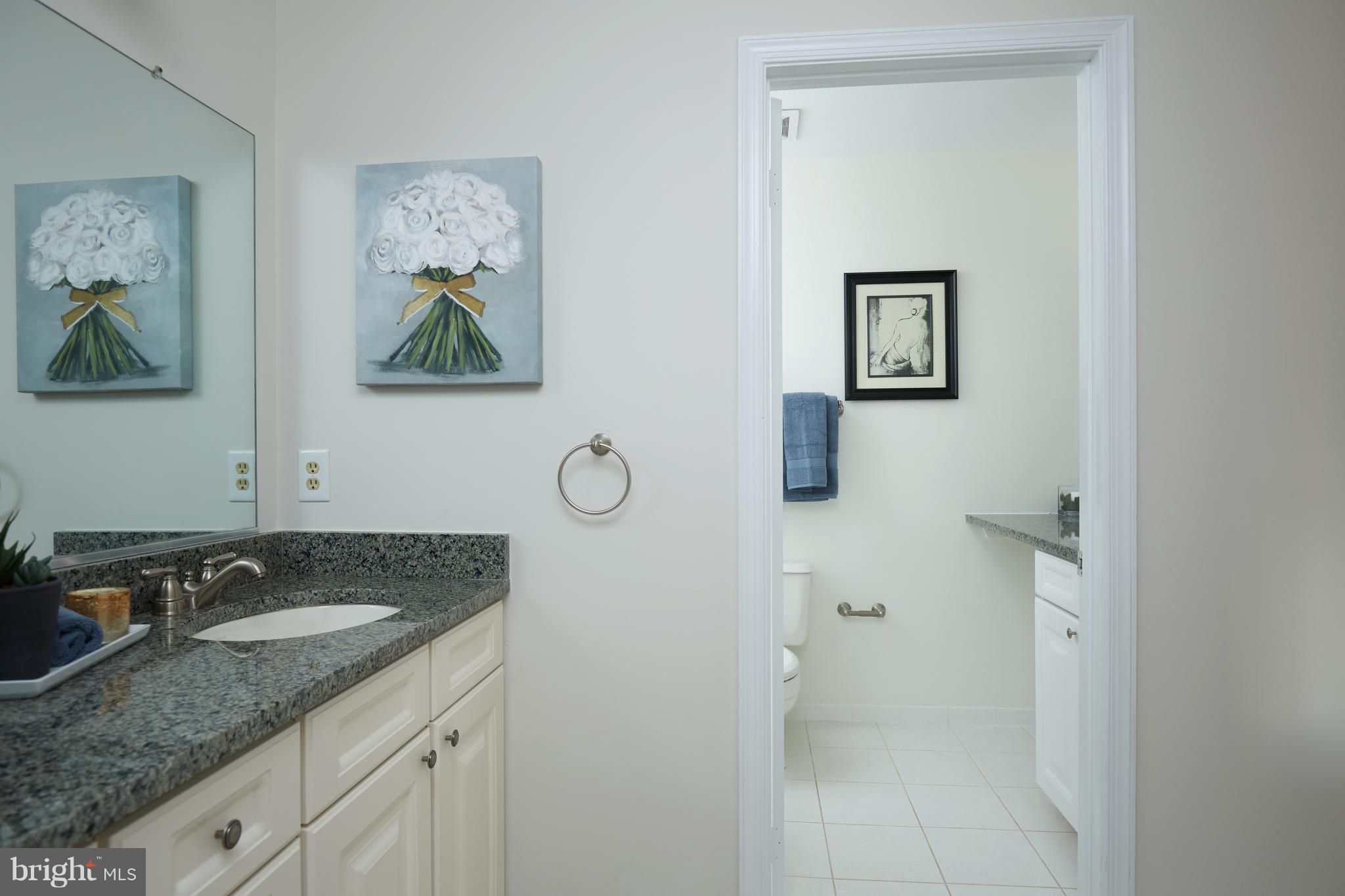 2713 Glencroft Road Vienna, VA 22181 - Photo 20 of 29 Bath (Master)