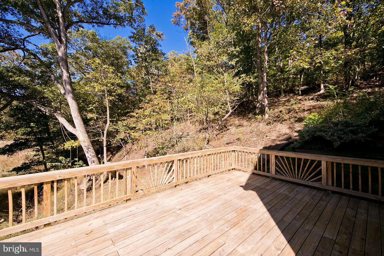 163 Adams Road Winchester, VA 22603 - Photo 36 of 78 Gallery Image 36