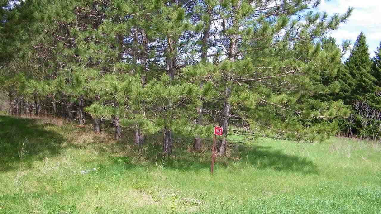 1158 West 23rd Street Rib Falls, WI 54411 - Photo 1 of 1