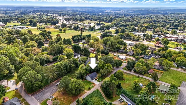 an aerial view of residential houses with outdoor space and trees
