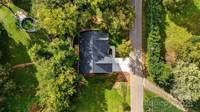 a plant that is sitting in a garden