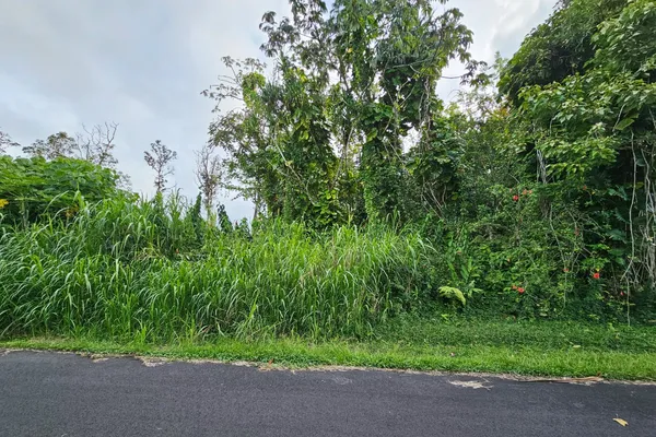 $22,000 | 20 Ono Street, Pahoa, HI 96778