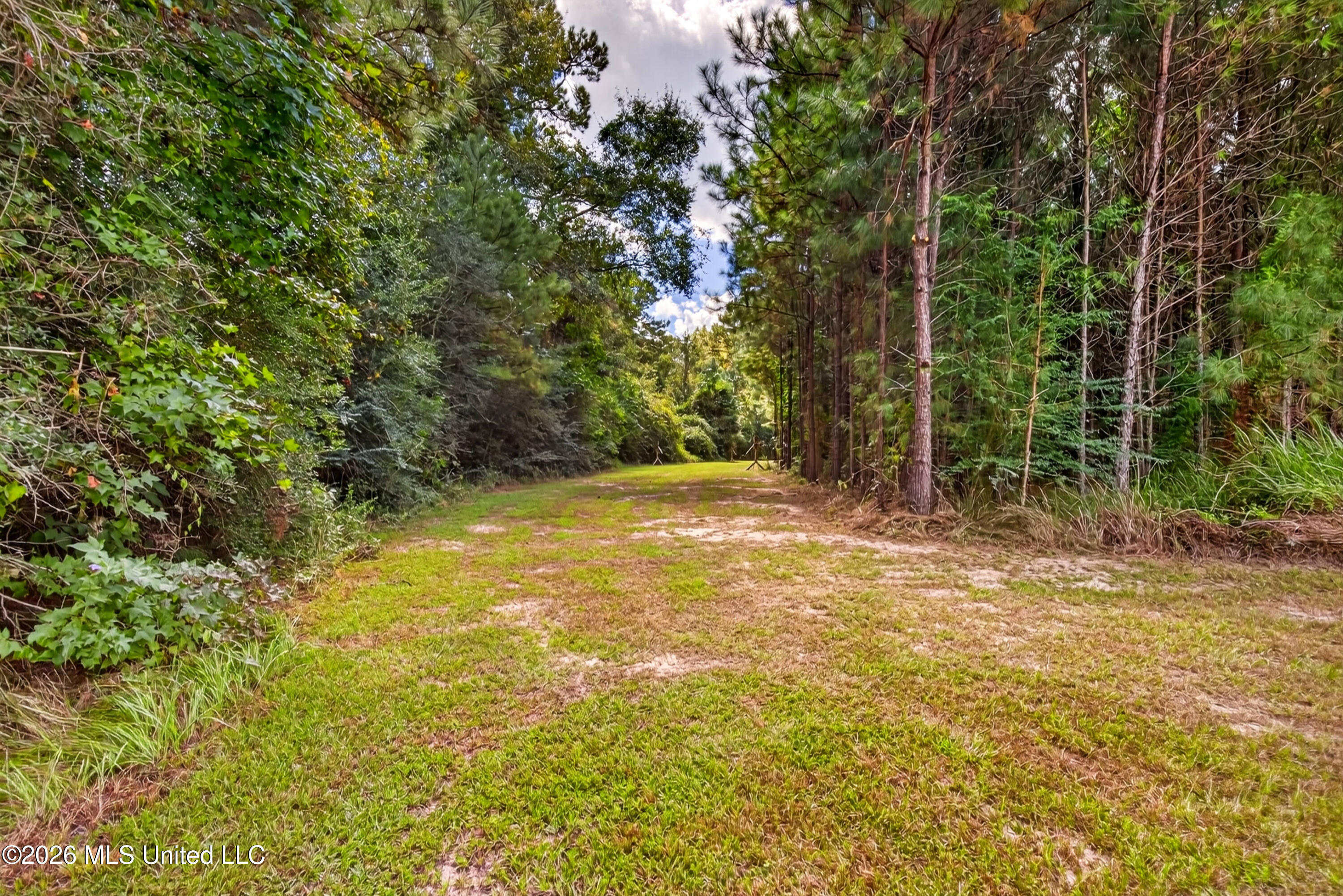 75 3 Oaks Road Perkinston, MS 39573 - Photo 27 of 82 75ThreeOaksRd.-27