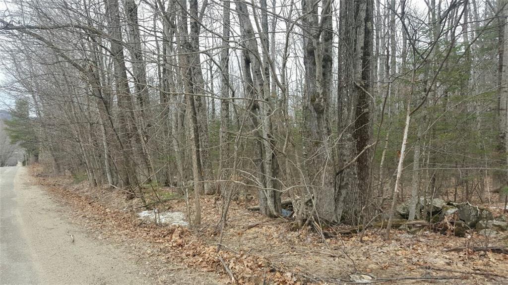 46 Tuell Hill Road Sumner, ME 04292 - Photo 15 of 15 Road front on Tuell Hill Road