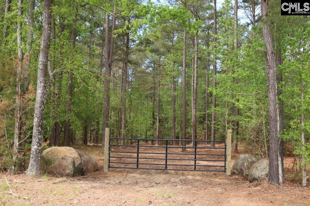 Beulah Road Leesville, SC 29070 - Photo 17 of 19
