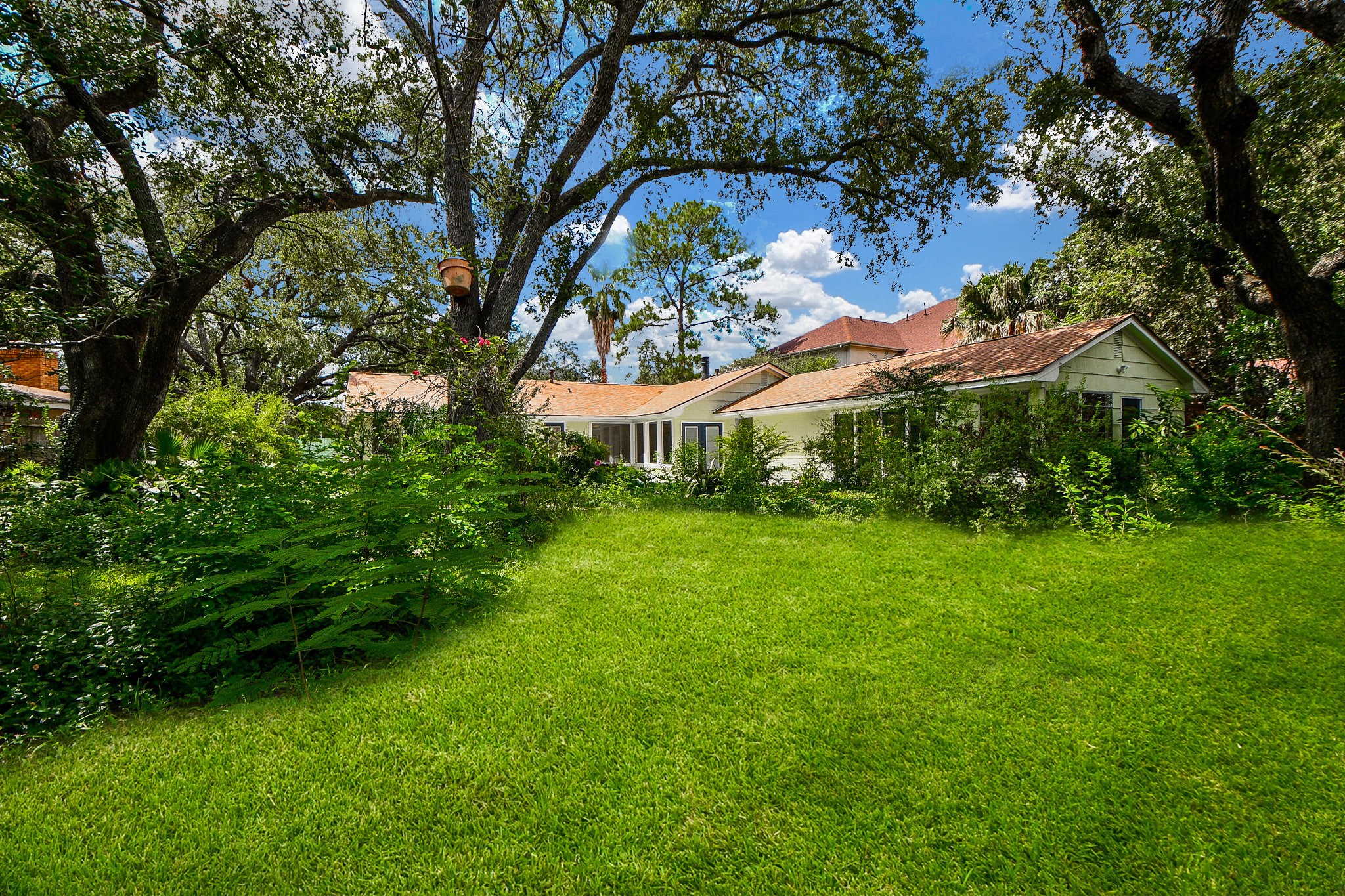 5015 Grape Street Houston, TX 77096 - Photo 28 of 28 a view of an house with backyard and a tree