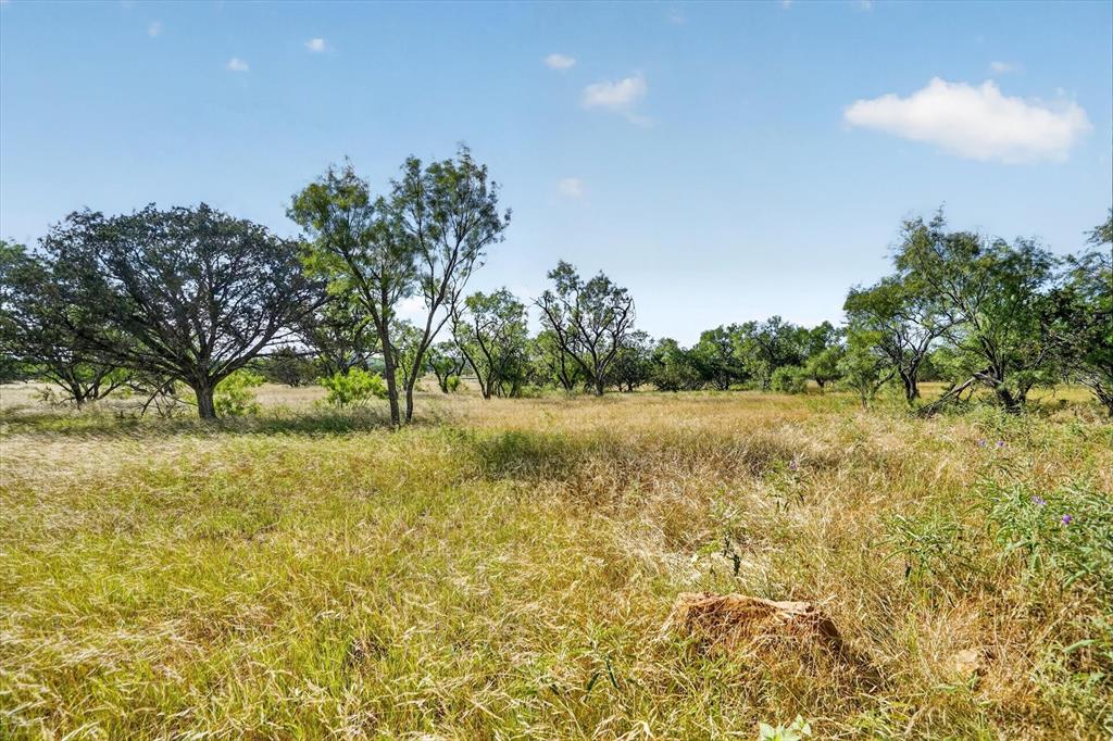 Lot 30 Tbd Bigfoot Road Strawn, TX 76475 - Photo 6 of 38