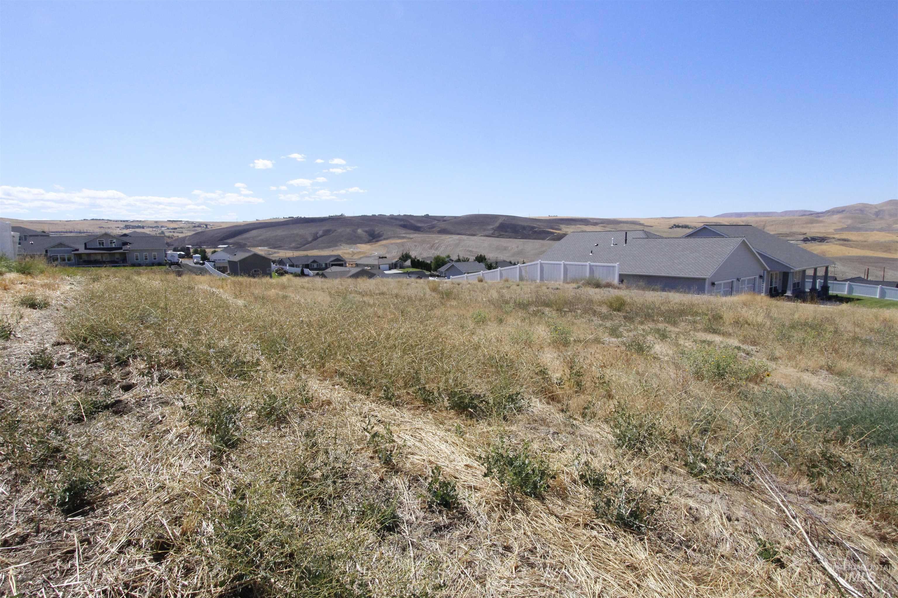 2230 Deer Pointe Drive Clarkston, WA 99403 - Photo 2 of 5 View of mountain background