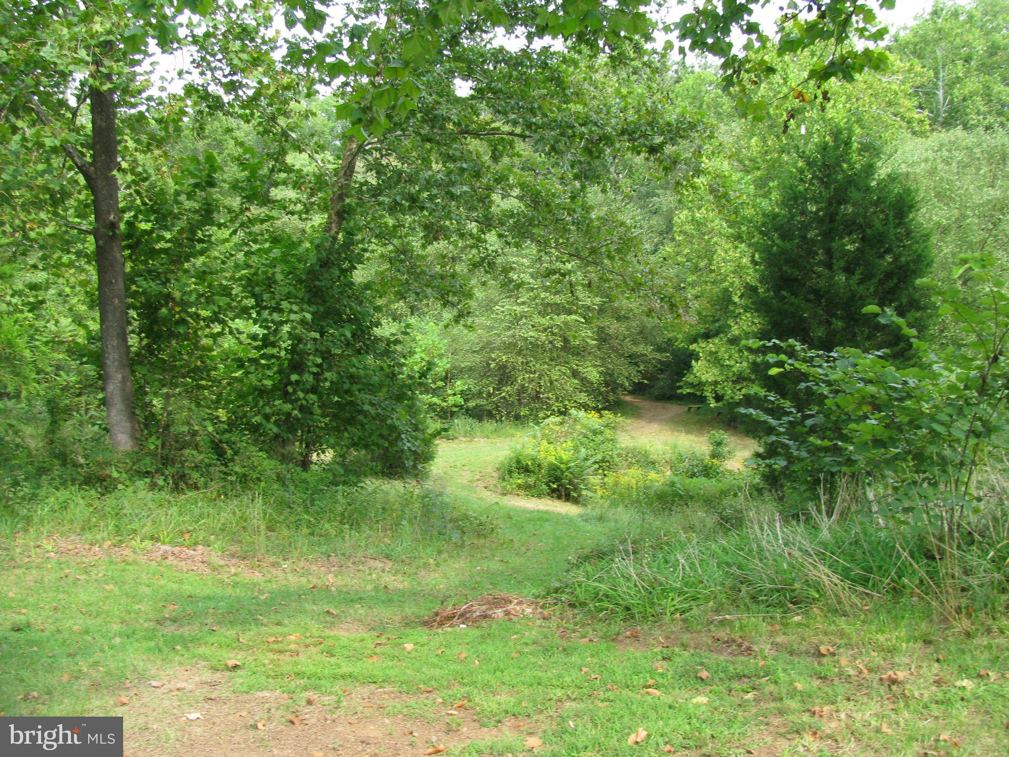 10337 Fairview Road Bumpass, VA 23024 - Photo 16 of 18 a backyard of a house with lots of green space